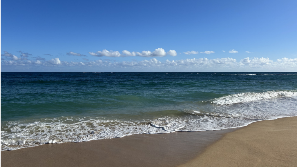 Mediation In Business LLC, Regine Lang-Miles, Clarity in Complex Situations. Hawaii and Europe