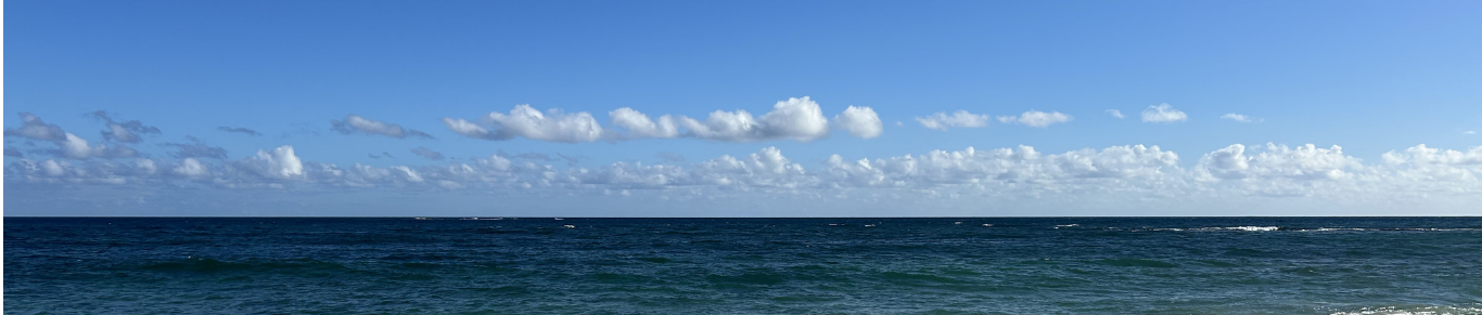 Mediation In Business LLC, Regine Lang-Miles, Clarity in Complex Situations. Hawaii and Europe