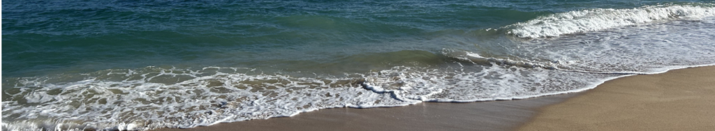 Mediation In Business LLC, Regine Lang-Miles, Clarity in Complex Situations. Hawaii and Europe