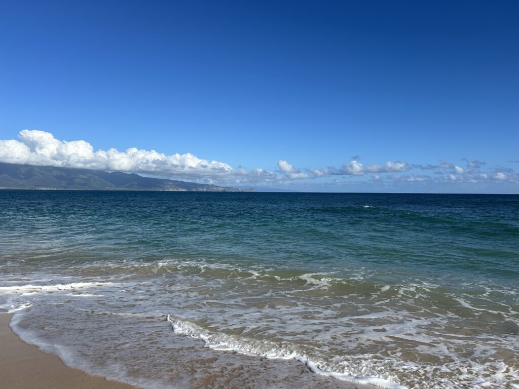 Mediation In Business LLC, Regine Lang-Miles, Clarity in Complex Situations. Hawaii and Europe