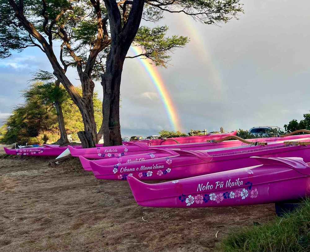 Paddle for Life, Mediation In Business LLC, Regine Lang-Miles, Clarity in Complex Situations. Hawaii and Europe